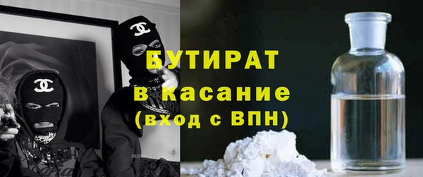 сатива Новодвинск